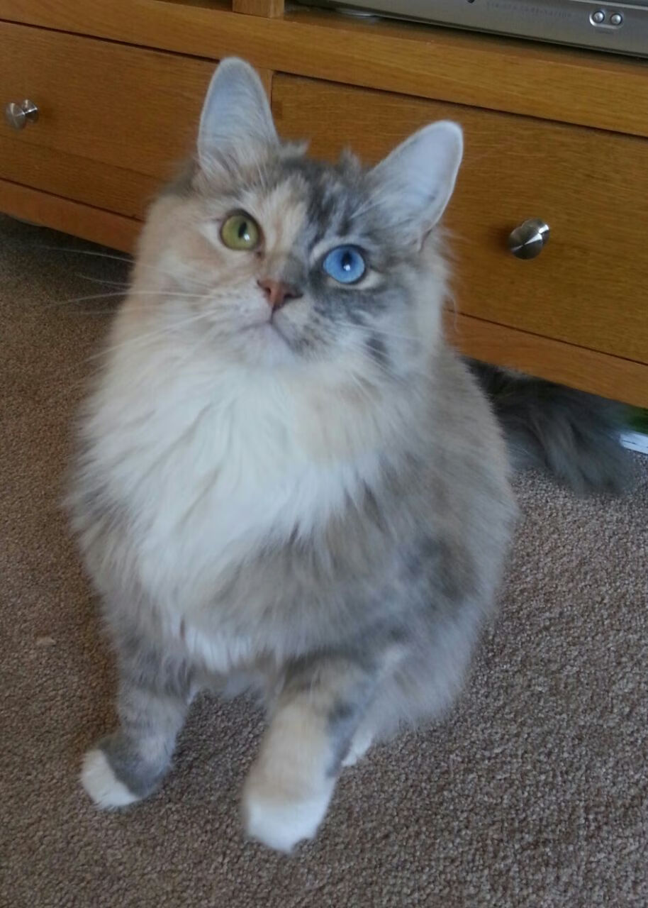 “足球+农村振兴”计划稳步推进,基层足球事业不断壮大,农村学校足球现状分析