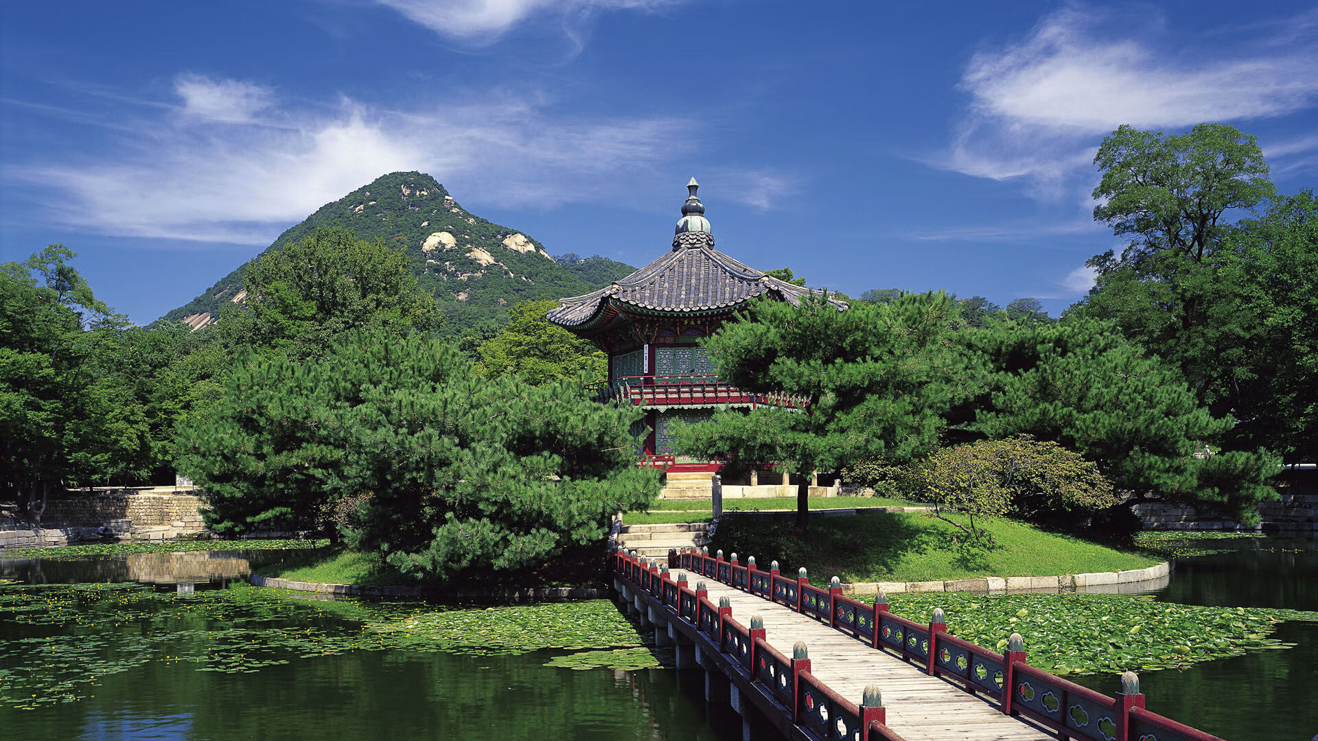 Jiu You-《CS_GO全球精英赛，Astralis迎战NAVI，现场气氛火爆》，csgo全球锦标赛