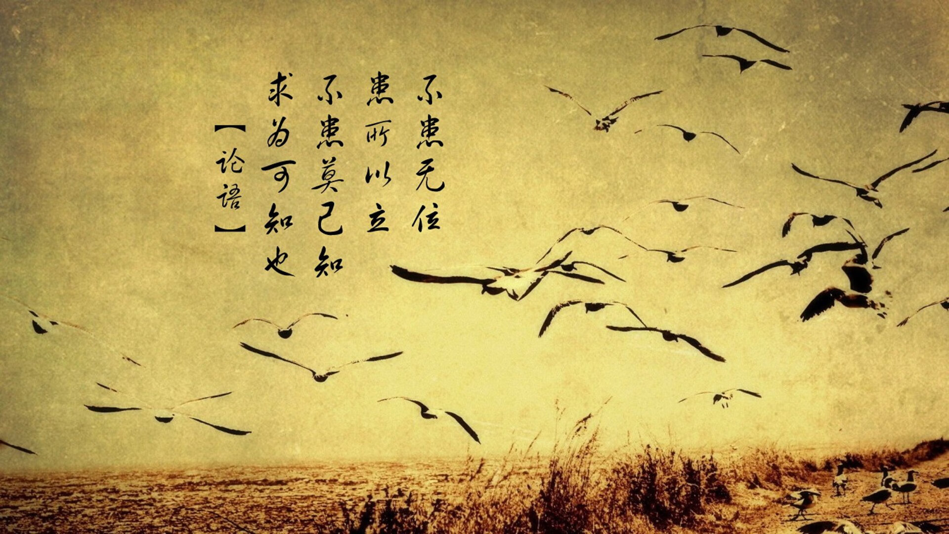 以足球为主题的文化产业项目不断创新发展,关于足球文化的征文600字作文