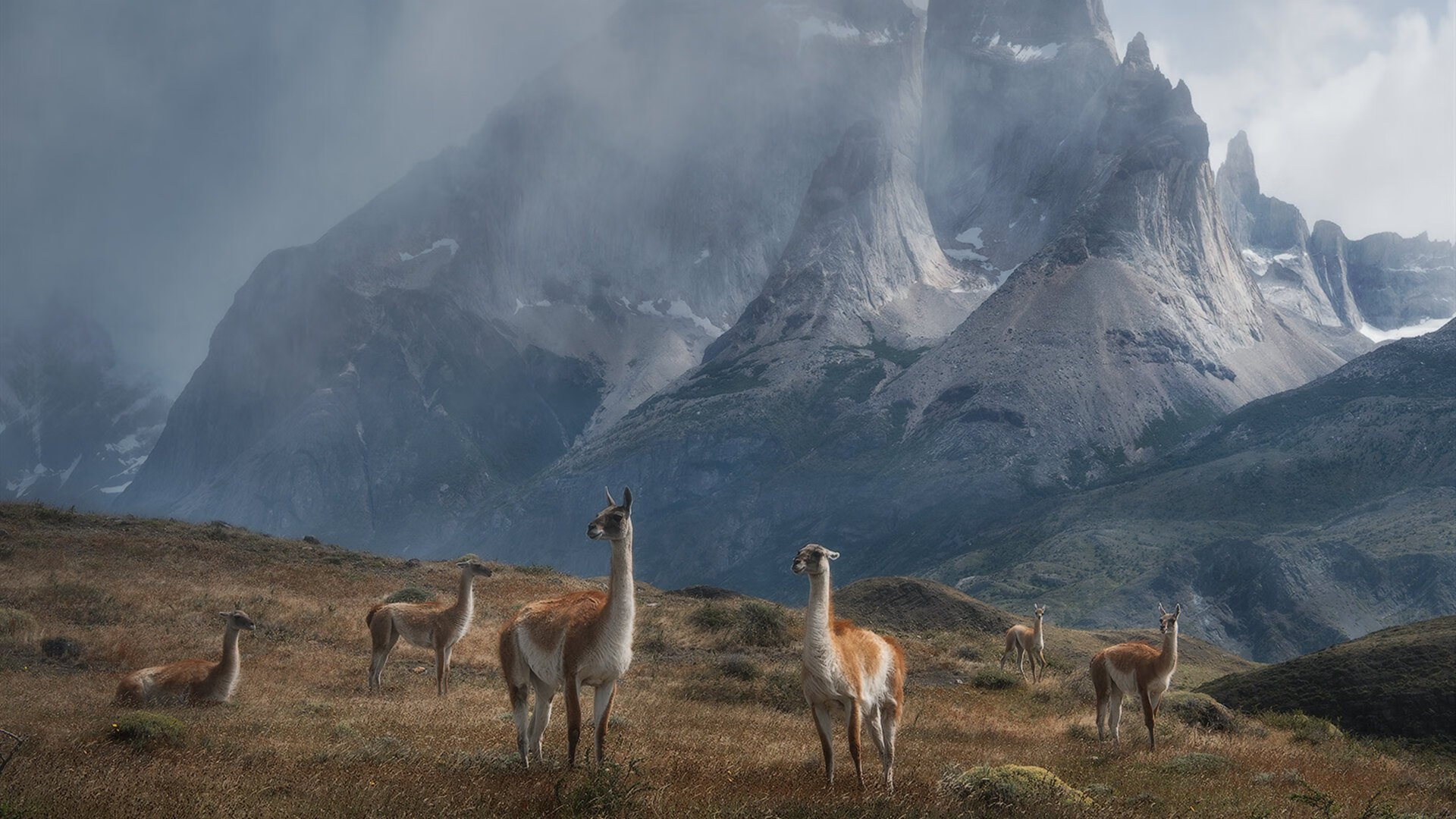 九游网页版官网-日本马术协会与亚洲马术协会建立合作关系，推动区域发展。，日本马术比赛场地