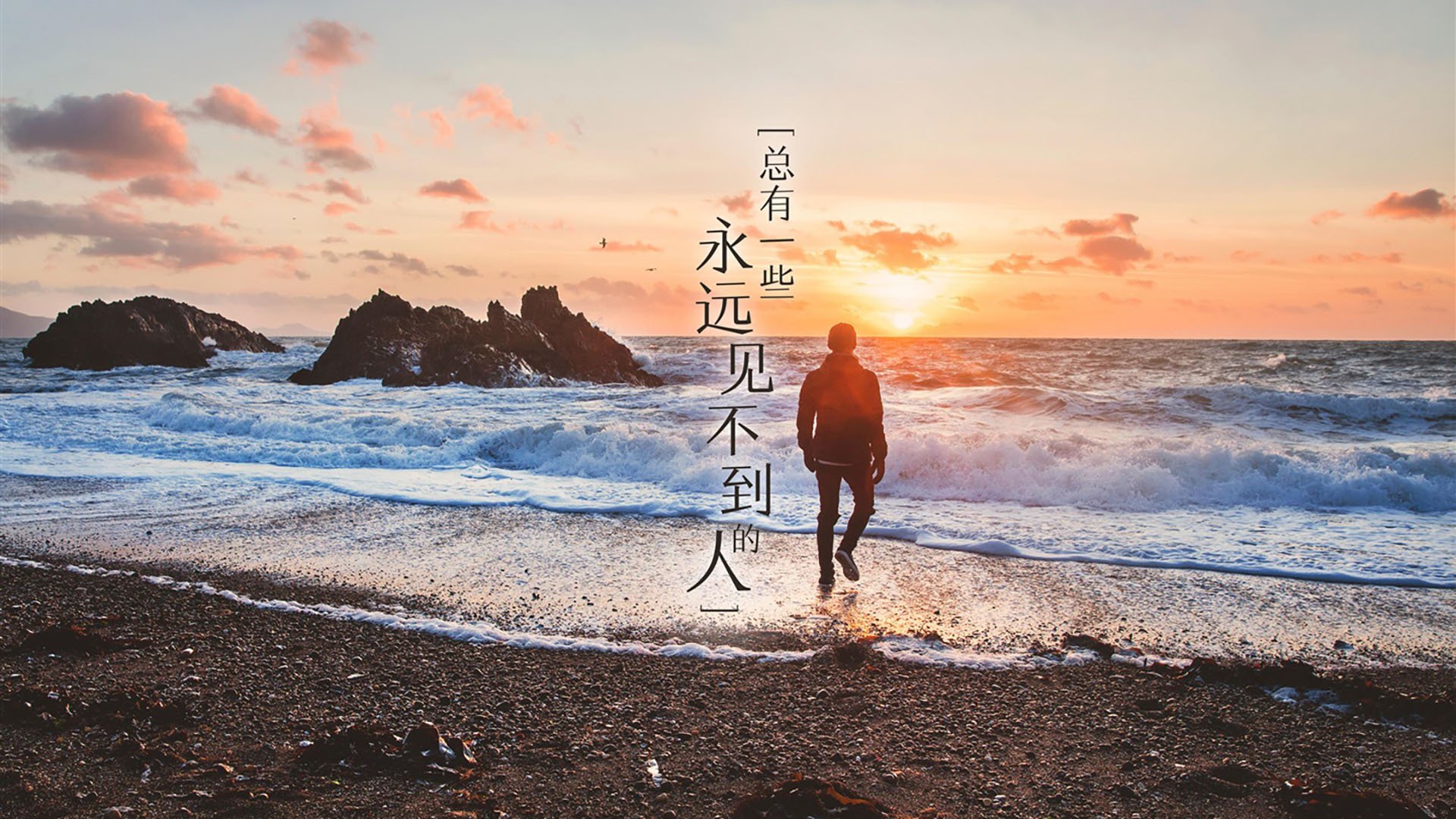 水墨篮球:青少年书画融合篮球文化展在上海开幕,书法篮球