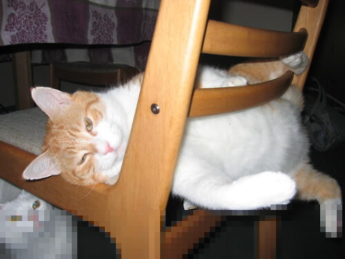 九游-男足主教练回应外界质疑：“请再给我们时间”，现任男足主教练中国队