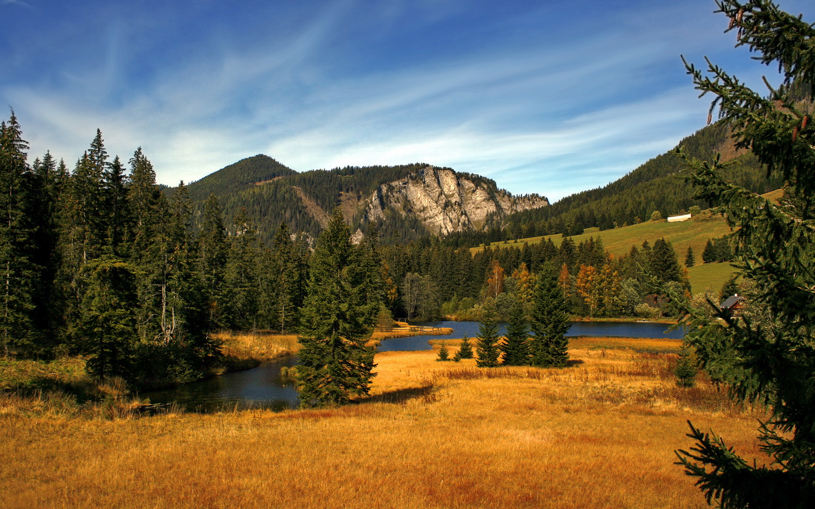 电竞女神COS出战夺冠，引爆二次元体育圈，电竞职业选手的玩cos的