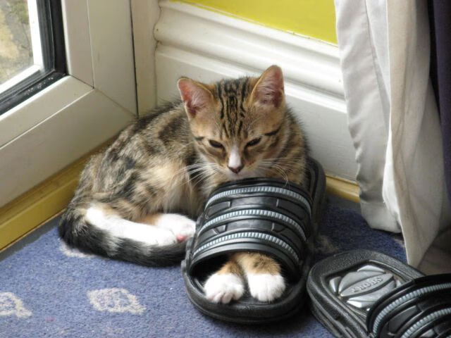 英超本轮焦点:大逆转引爆全场,英超本轮集锦视频