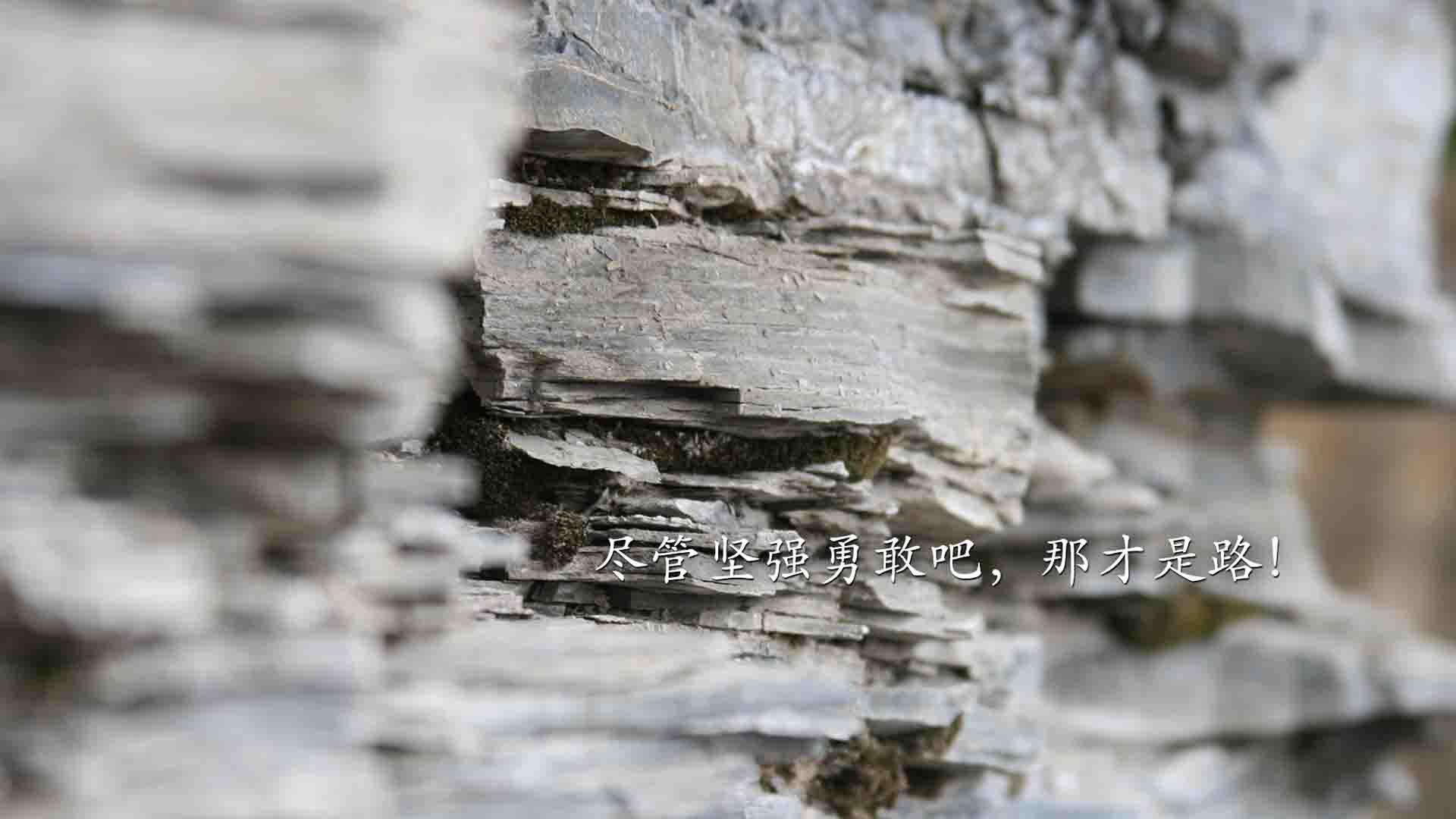 兹韦勒逼平卡昂,胜利主场难求连续不胜,兹维列夫决赛