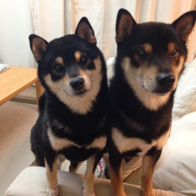 九游sports-沃特福德主场小胜，为保级注入信心，沃特福德俱乐部官网