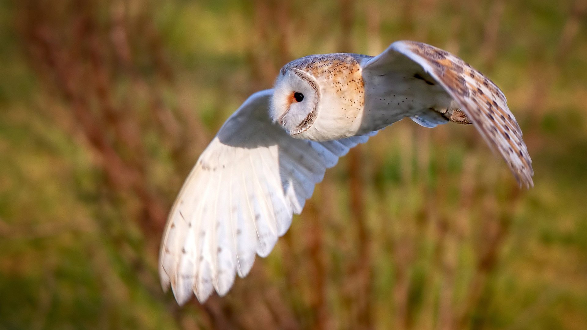 蔚山现代争冠形势愈发明朗,蔚山现代读音