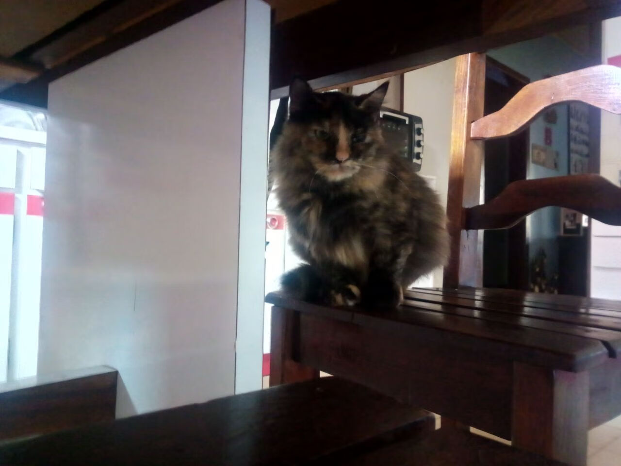 葡萄牙对英格兰展开激烈争夺!谁将胜出?,葡萄牙与英格兰队