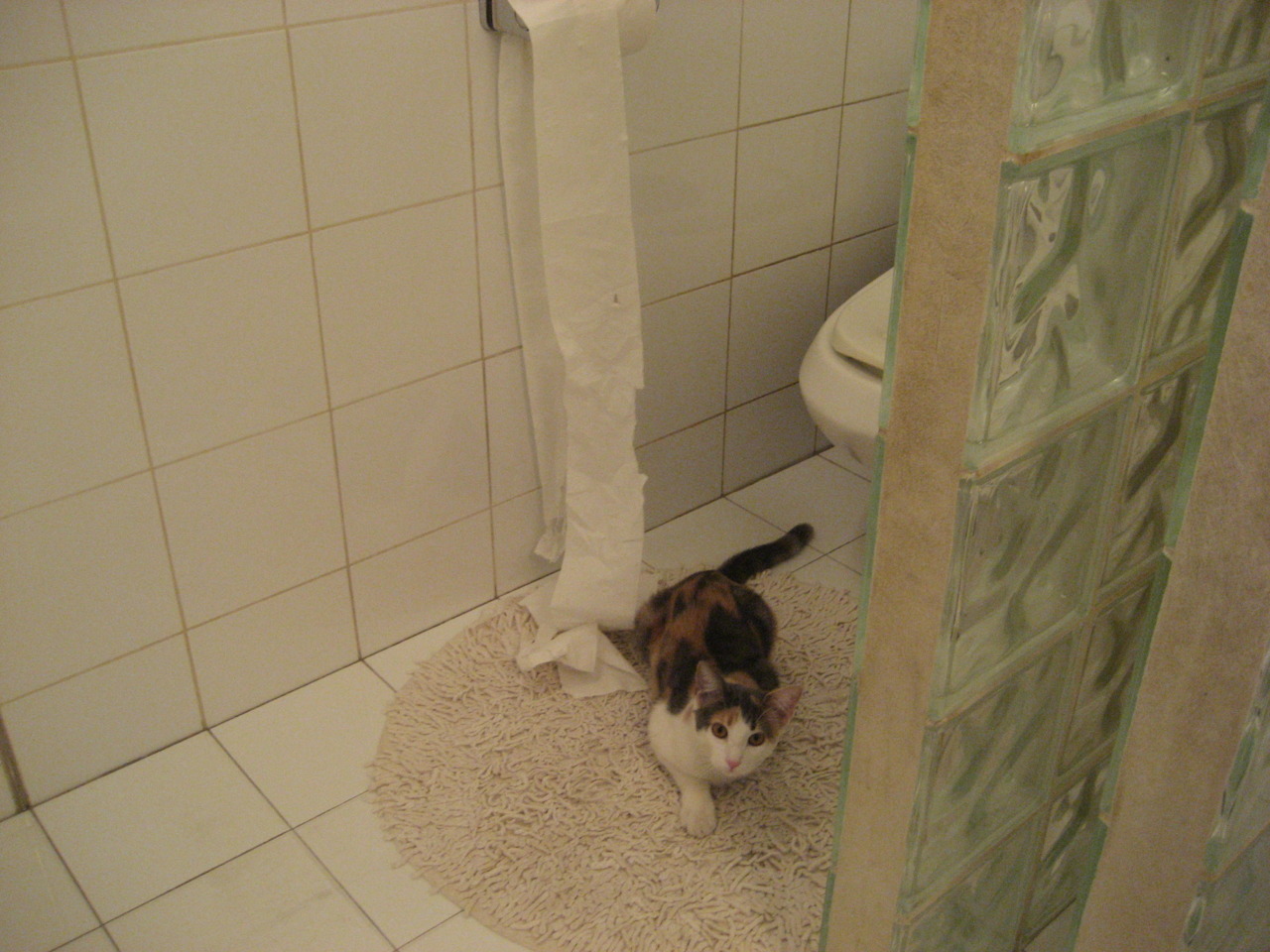 贵州智诚主场抢分成功,保持不败势头,贵州智诚企业集团投资有限公司