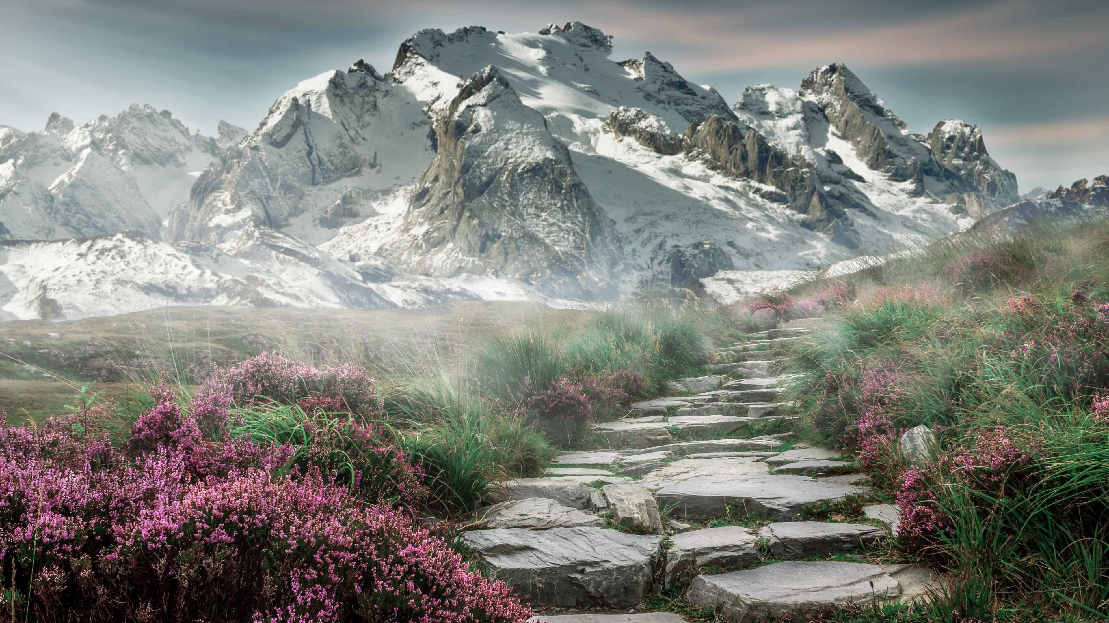 赫尔塔柏林主教练调整战术，球队露出新面貌，柏林赫塔主客场球衣