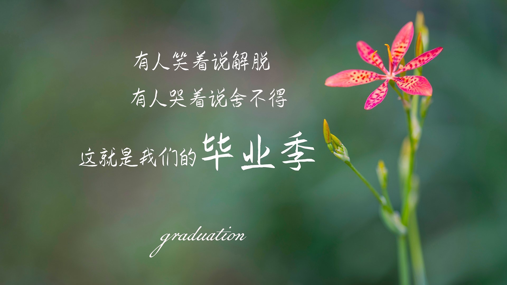 马德里竞技队击败皇家社会队,取得胜利迎来开门红,马德里竞技和皇家马德里哪个厉害