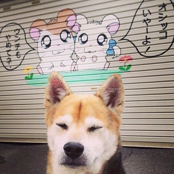 国足球员体能衰减与战术执行力下降关系,足球运动员体能差