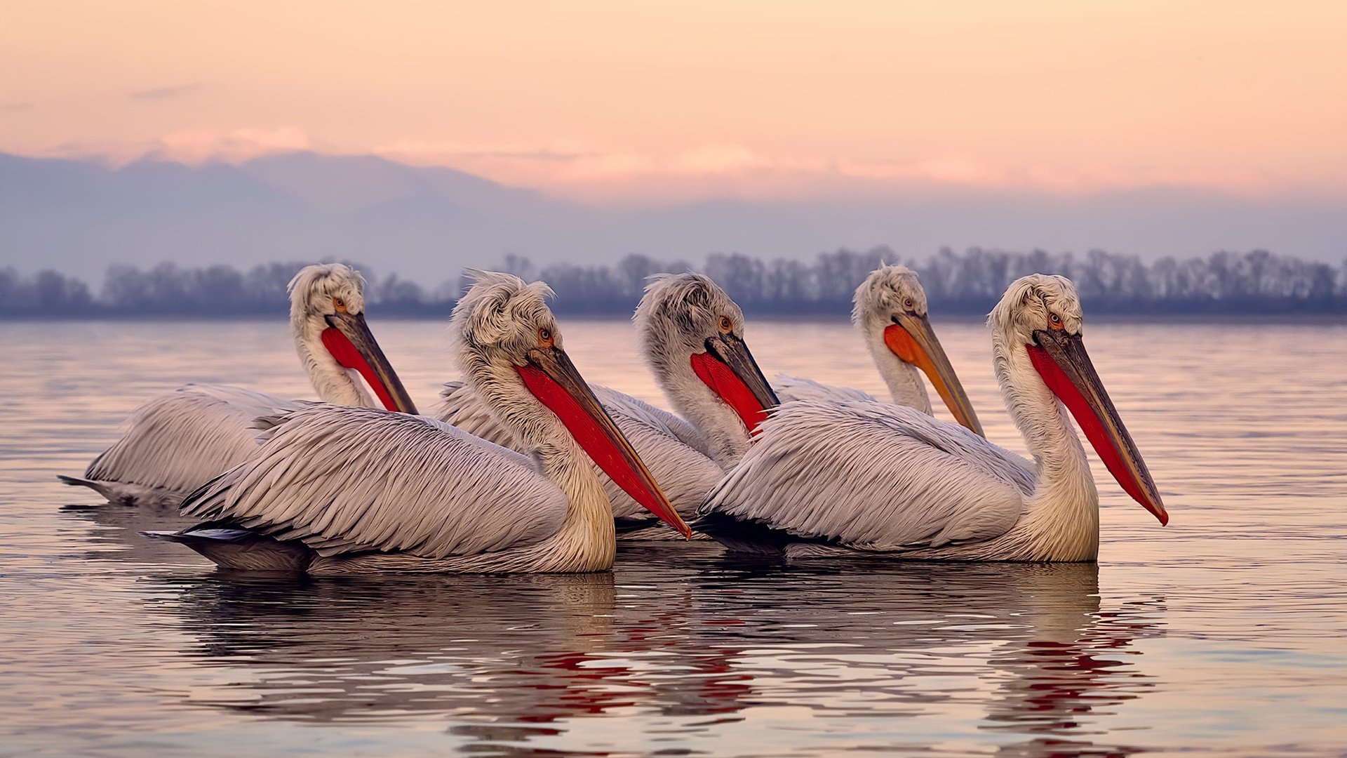 九游官网下载电脑版-中国男篮加强远投训练 应对外线压力，中国男篮要求