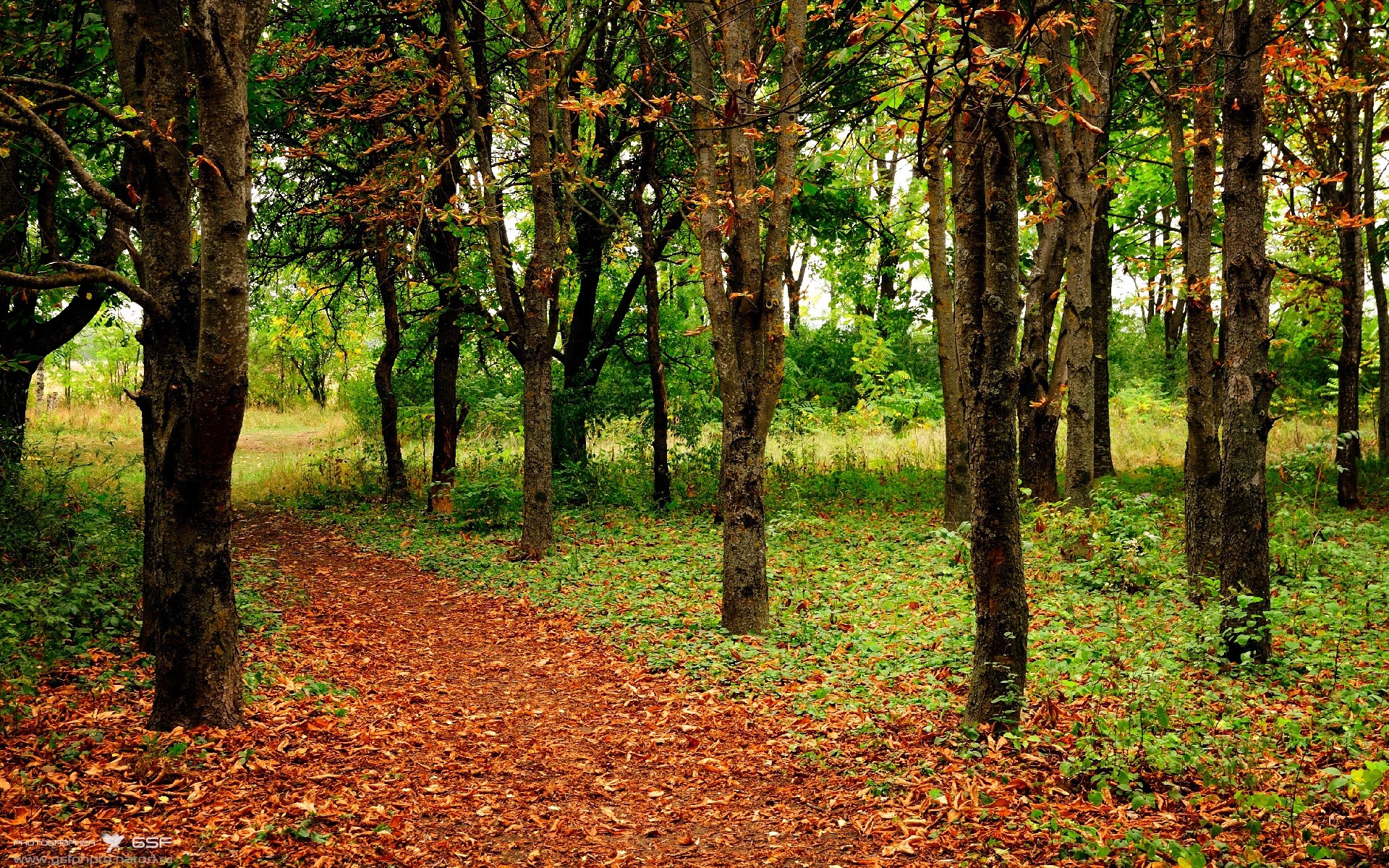 五大联赛门将扑救风格是否因战术演化而改变,门将十大扑救