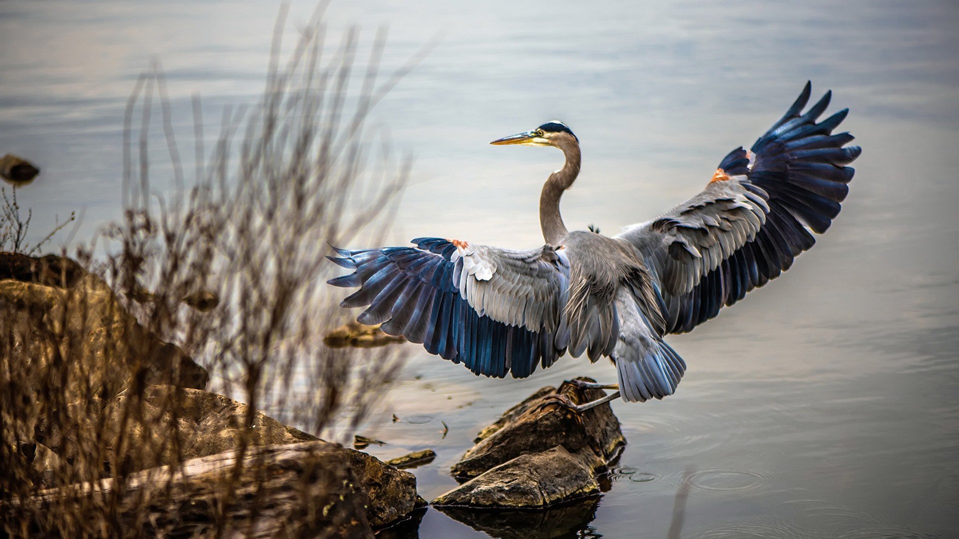 国家队缺少三分线外定点投手问题如何破解