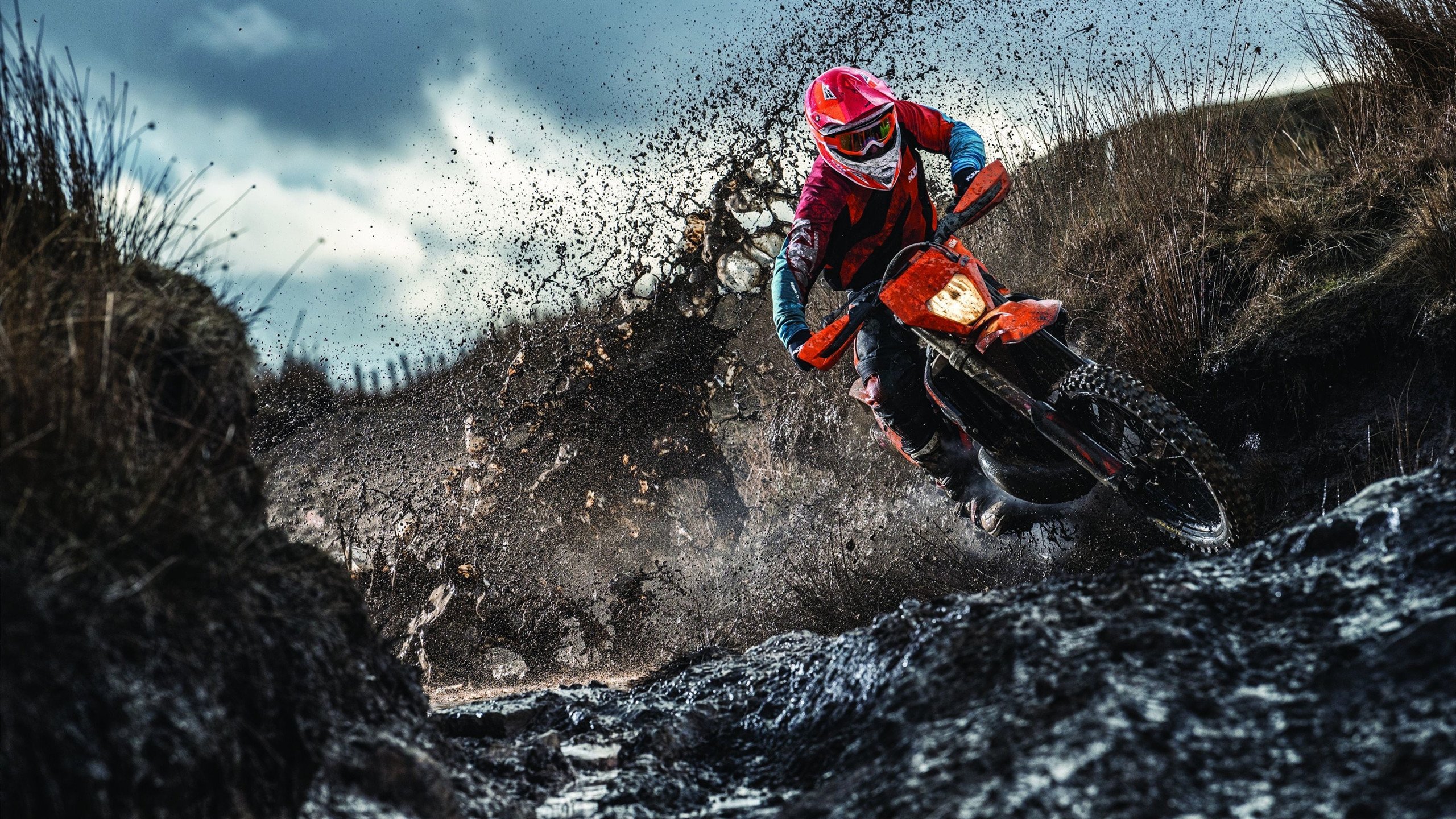 教练是否在赛前根据数据模型制定多套进攻预案，在比赛中,教练员会根据现场比赛的变化