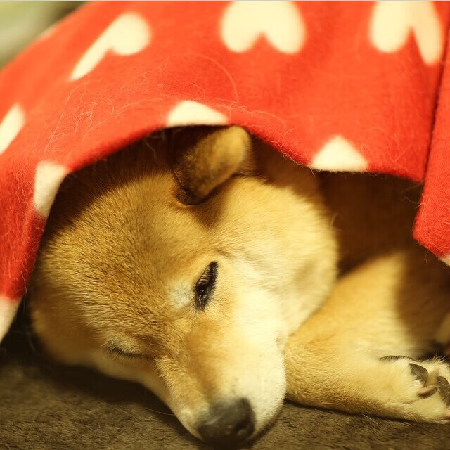 九游娱乐官网 (JIUYOU)-掩护后球员持球节奏变化是否能扰乱协防，篮球后掩护