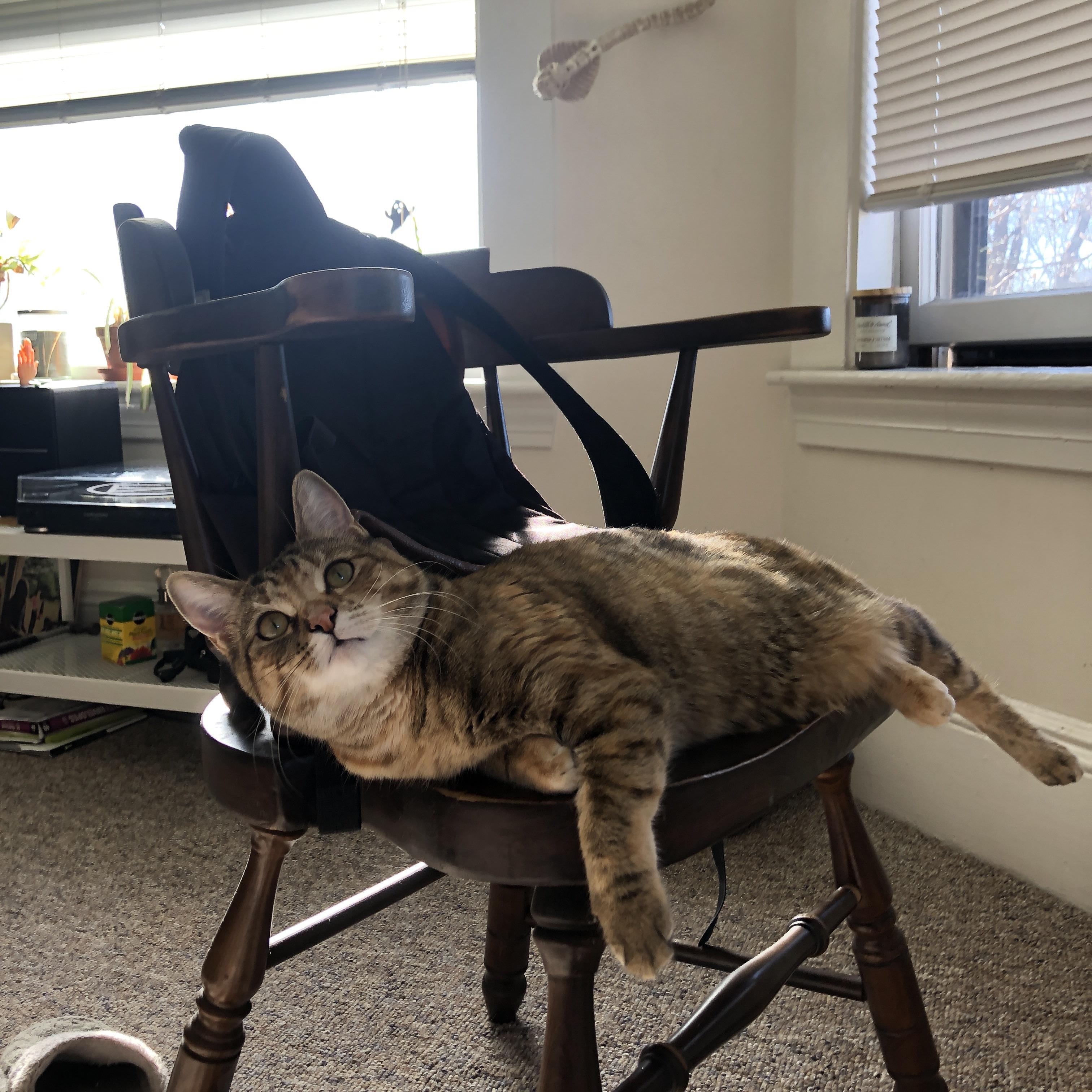 替补席深度成为夺冠关键因素，替补席是什么意思