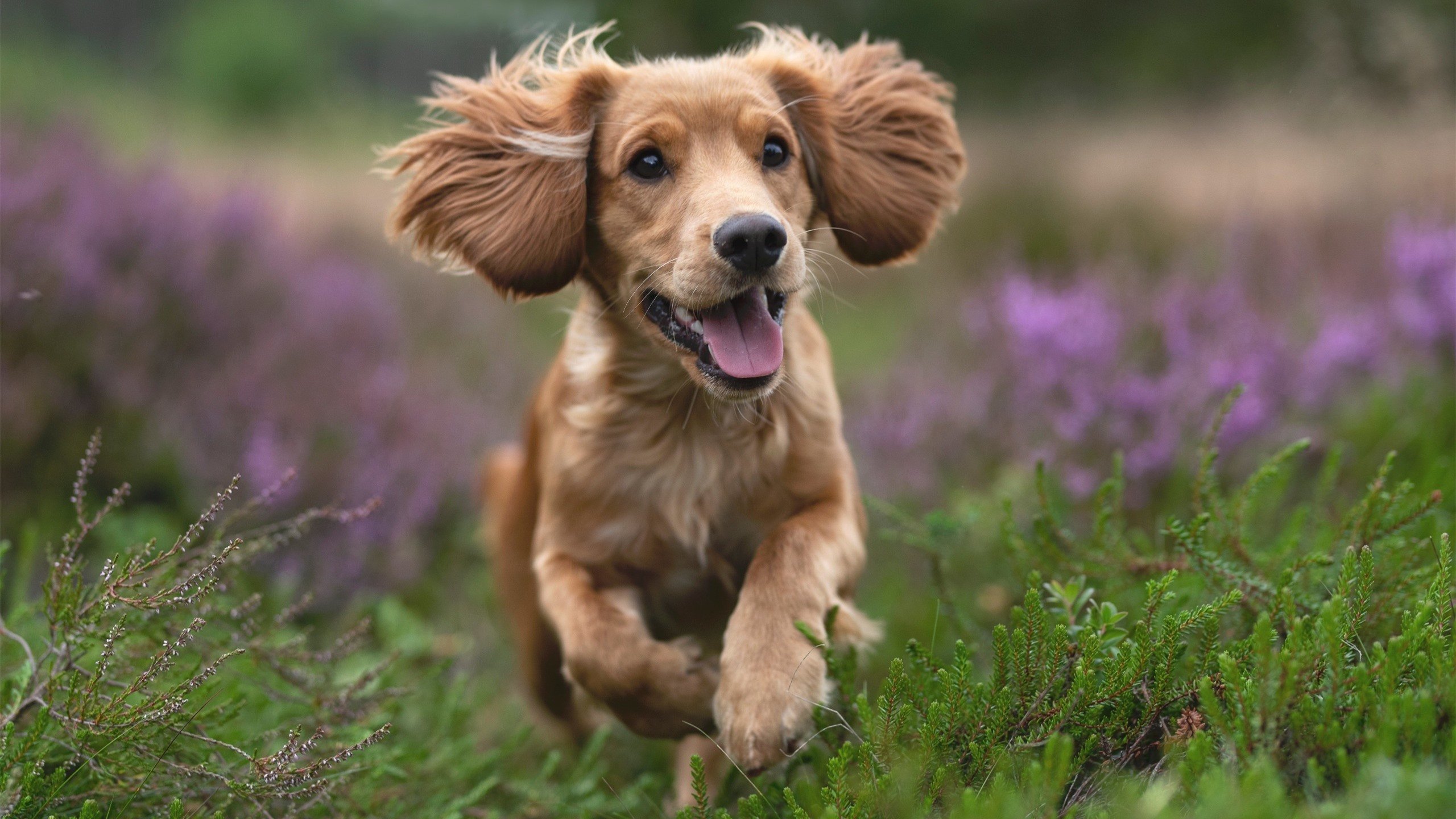 青年运动员成长环境不断优化,青年运动员怎样进行营养补充