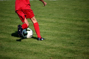 九游网页版入口-CBA球队加强后勤保障体系优化训练和比赛准备，cba后备联赛