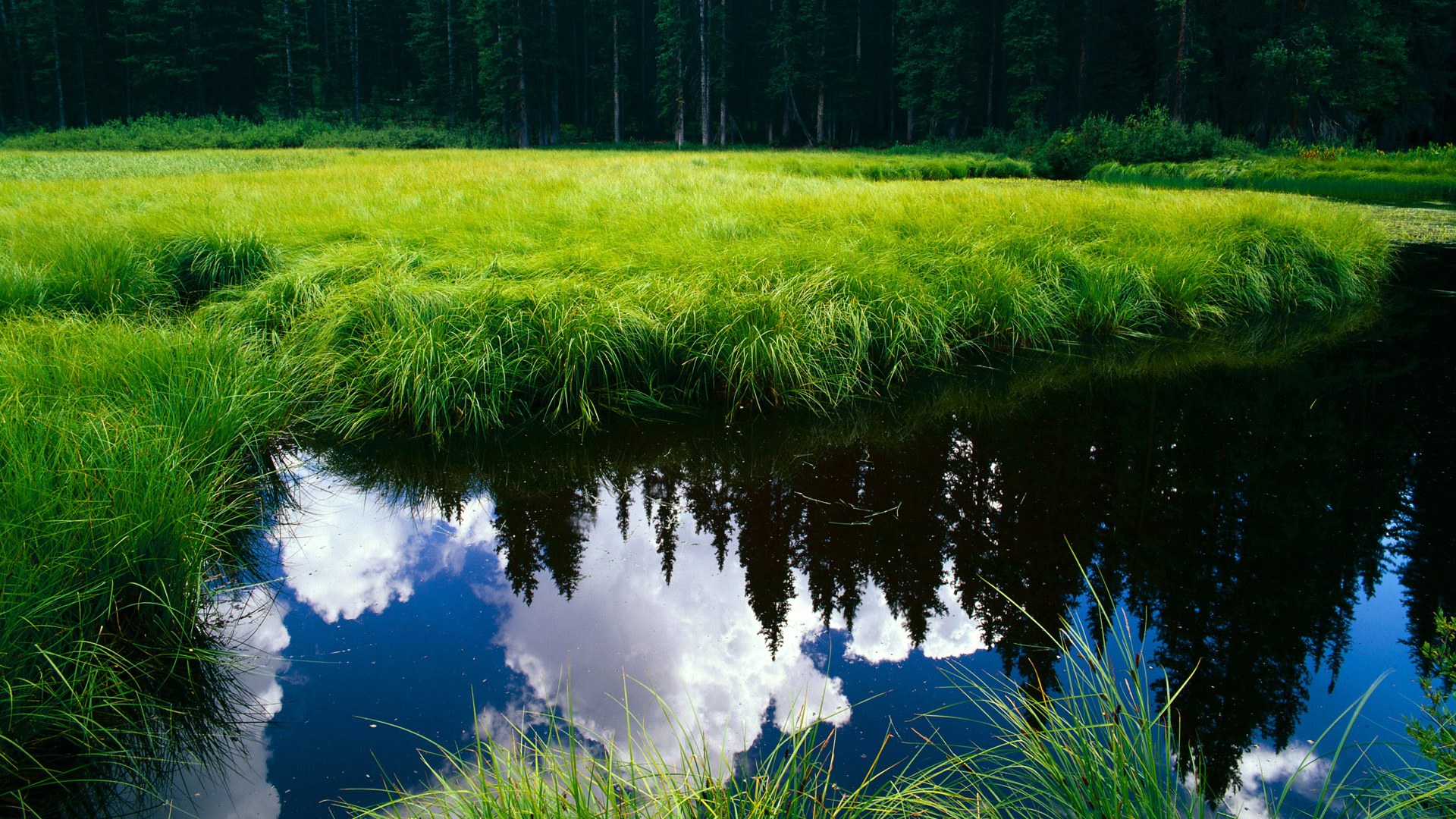 九游官网下载电脑版-美洲杯明星再临：突破、精彩、惊喜！，美洲杯人气