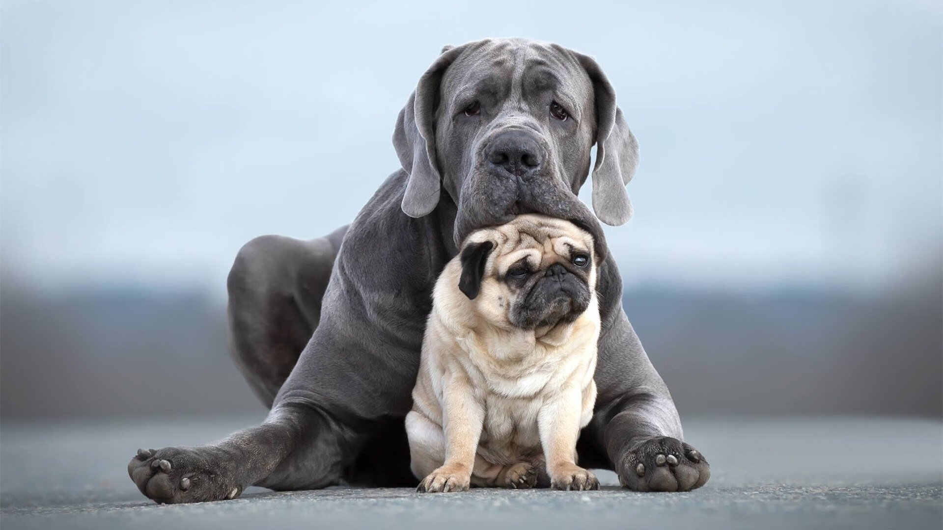 马尔代夫男篮在亚洲锦标赛中拼搏，迈向更高峰，马尔代夫男足最新情况